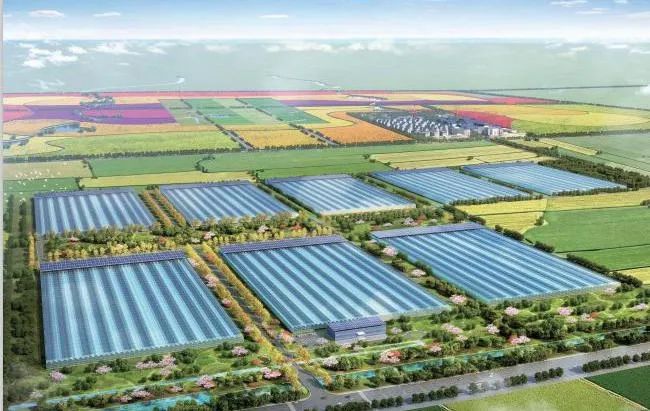 寶潤達項目 寶潤達項目